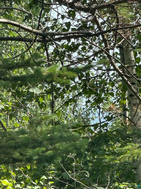 Tiny photo for XX High Ridge Dr, Schroeder, MN 55614 (MLS # 6125498)