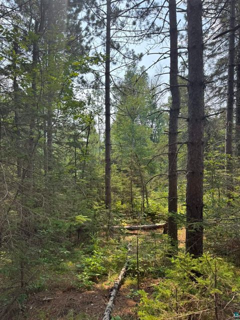 Tiny photo for XX High Ridge Dr, Schroeder, MN 55614 (MLS # 6125498)