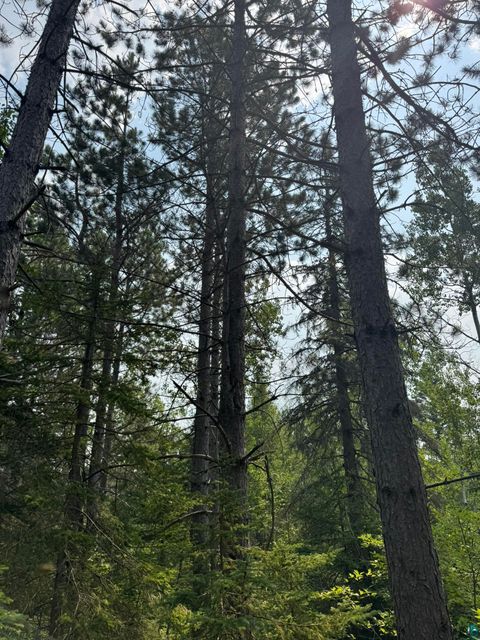 Tiny photo for XX High Ridge Dr, Schroeder, MN 55614 (MLS # 6125498)