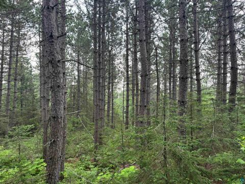 Tiny photo for XX High Ridge Dr, Schroeder, MN 55614 (MLS # 6125498)