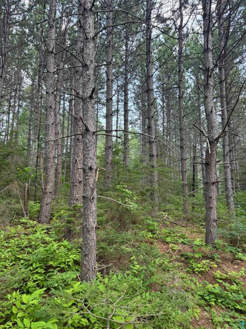 Photo of XX High Ridge Dr, Schroeder, MN 55614 (MLS # 6125498)