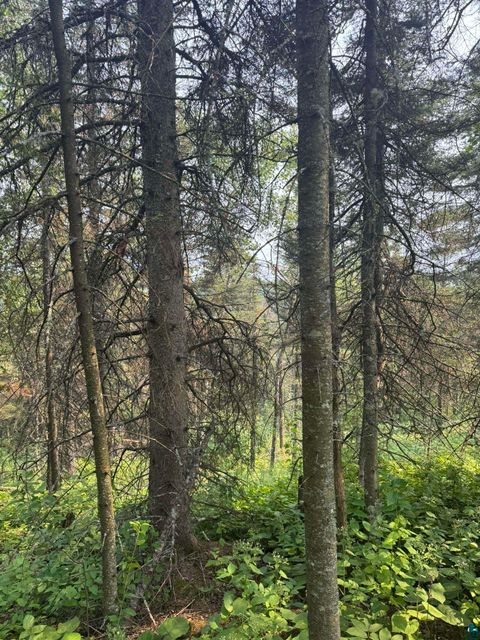 Tiny photo for XX High Ridge Dr, Schroeder, MN 55614 (MLS # 6125498)
