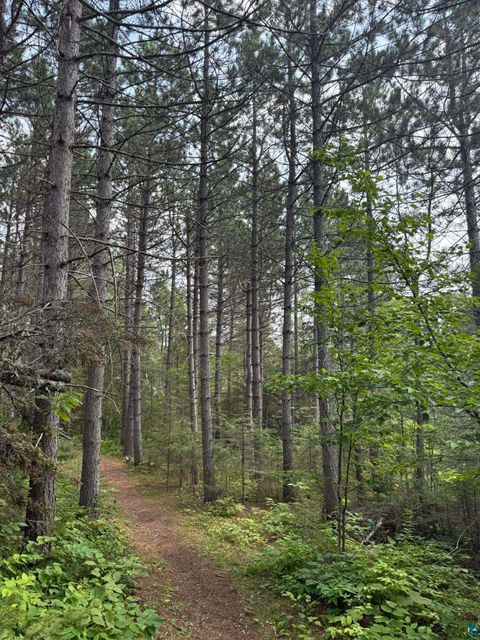 Tiny photo for XX High Ridge Dr, Schroeder, MN 55614 (MLS # 6125498)