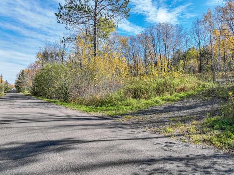 Tiny photo for 512 Elk St, Duluth, MN 55803 (MLS # 6122520)