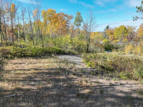 Photo of 512 Elk St, Duluth, MN 55803 (MLS # 6122520)