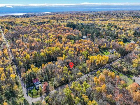 Tiny photo for 512 Elk St, Duluth, MN 55803 (MLS # 6122520)