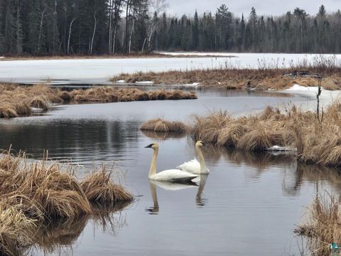 Tiny photo for 3420 Dewees Road, Babbitt, MN 55706 (MLS # 6123956)