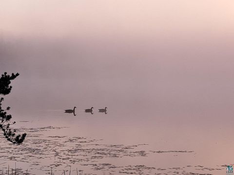 Tiny photo for 3420 Dewees Road, Babbitt, MN 55706 (MLS # 6123956)