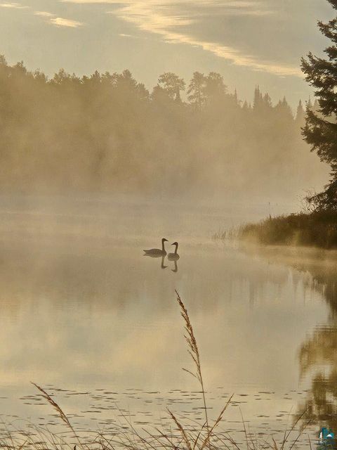 Tiny photo for 3420 Dewees Road, Babbitt, MN 55706 (MLS # 6123956)