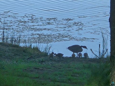 Tiny photo for 3420 Dewees Road, Babbitt, MN 55706 (MLS # 6123956)