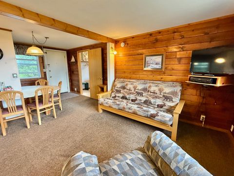 Tiny photo for 9000 Congdon Blvd, Duluth, MN 55804 (MLS # 6123286)