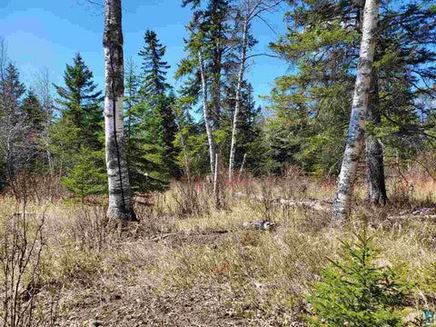 Tiny photo for 2 Hoaglund Dr, Tofte, MN 55615 (MLS # 6126795)