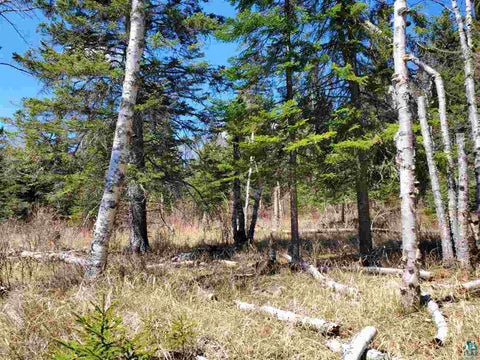 Tiny photo for 2 Hoaglund Dr, Tofte, MN 55615 (MLS # 6126795)