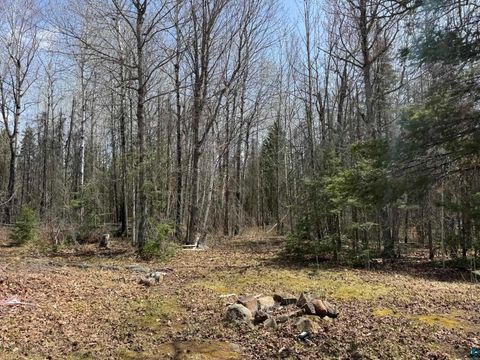 Tiny photo for 3898 Highway 2, Two Harbors, MN 55616 (MLS # 6125328)