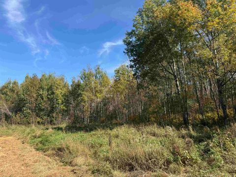 Tiny photo for 1 460th Ln, Palisade, MN 56469 (MLS # 6122346)