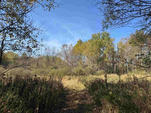 Tiny photo for 1 460th Ln, Palisade, MN 56469 (MLS # 6122346)