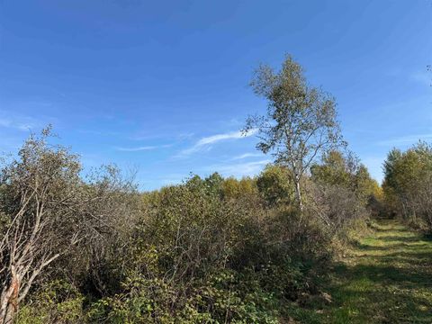 Tiny photo for 1 460th Ln, Palisade, MN 56469 (MLS # 6122346)