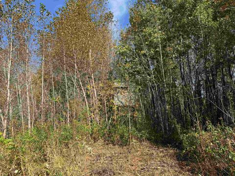 Tiny photo for 1 460th Ln, Palisade, MN 56469 (MLS # 6122346)