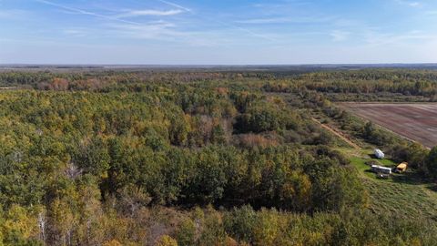 Photo of 1 460th Ln, Palisade, MN 56469 (MLS # 6122346)