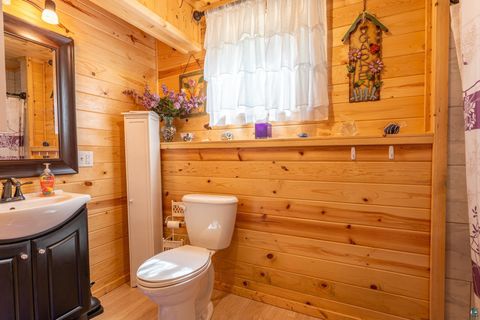 Tiny photo for 2445 Reed Rd, Ely, MN 55731 (MLS # 6124998)
