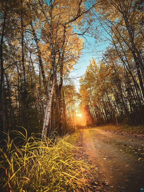 Tiny photo for 2445 Reed Rd, Ely, MN 55731 (MLS # 6124998)