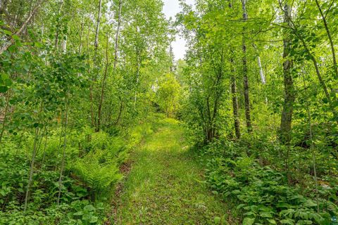 Tiny photo for 2445 Reed Rd, Ely, MN 55731 (MLS # 6124998)