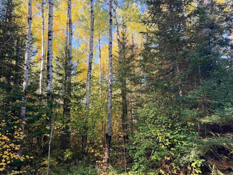 Tiny photo for 4603 North Rd, Hovland, MN 55604 (MLS # 6128252)