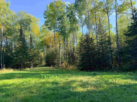 Tiny photo for 4603 North Rd, Hovland, MN 55604 (MLS # 6128252)