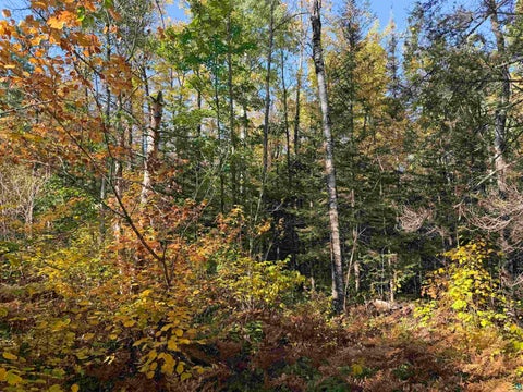 Tiny photo for 4603 North Rd, Hovland, MN 55604 (MLS # 6128252)