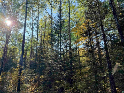 Tiny photo for 4603 North Rd, Hovland, MN 55604 (MLS # 6128252)