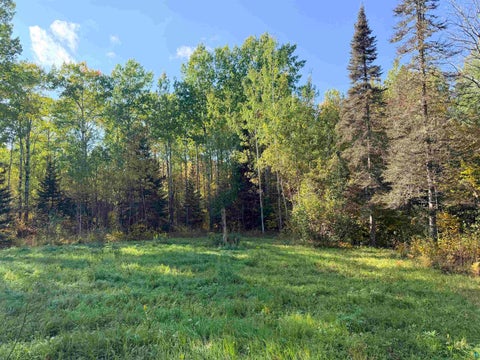 Tiny photo for 4603 North Rd, Hovland, MN 55604 (MLS # 6128252)
