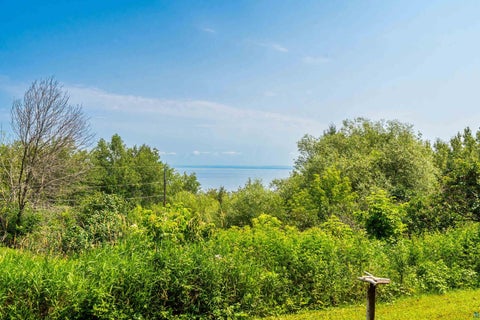 Tiny photo for 805 W 10th St, Duluth, MN 55806 (MLS # 6127041)