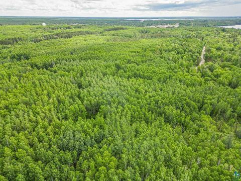 Tiny photo for TBD County Rd 665, Hoyt Lakes, MN 55750 (MLS # 6126243)