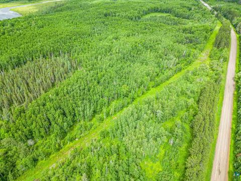Tiny photo for TBD County Rd 665, Hoyt Lakes, MN 55750 (MLS # 6126243)
