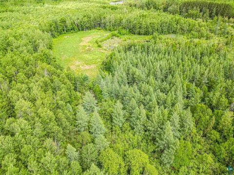 Tiny photo for TBD County Rd 665, Hoyt Lakes, MN 55750 (MLS # 6126243)