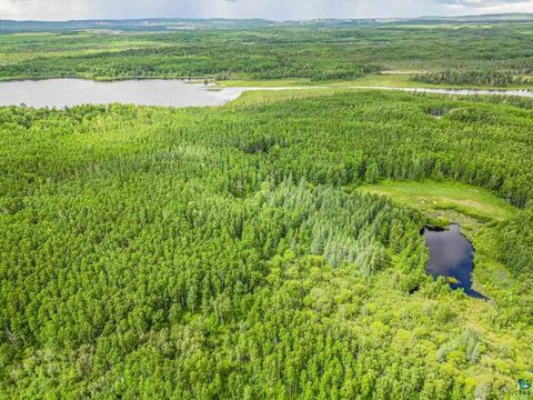 Tiny photo for TBD County Rd 665, Hoyt Lakes, MN 55750 (MLS # 6126243)