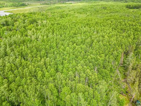 Tiny photo for TBD County Rd 665, Hoyt Lakes, MN 55750 (MLS # 6126243)