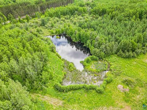 Tiny photo for TBD County Rd 665, Hoyt Lakes, MN 55750 (MLS # 6126243)