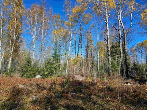 Tiny photo for Xx Mattila Rd, Virginia, MN 55792 (MLS # 6122437)