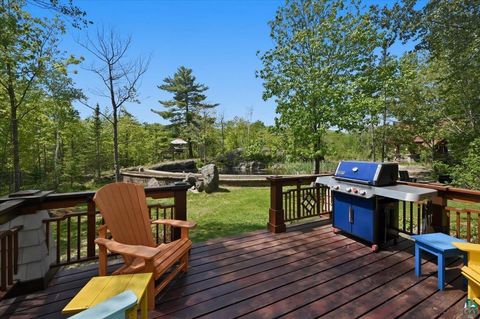 Tiny photo for 139 Howard Gnesen Rd, Duluth, MN 55811 (MLS # 6126315)