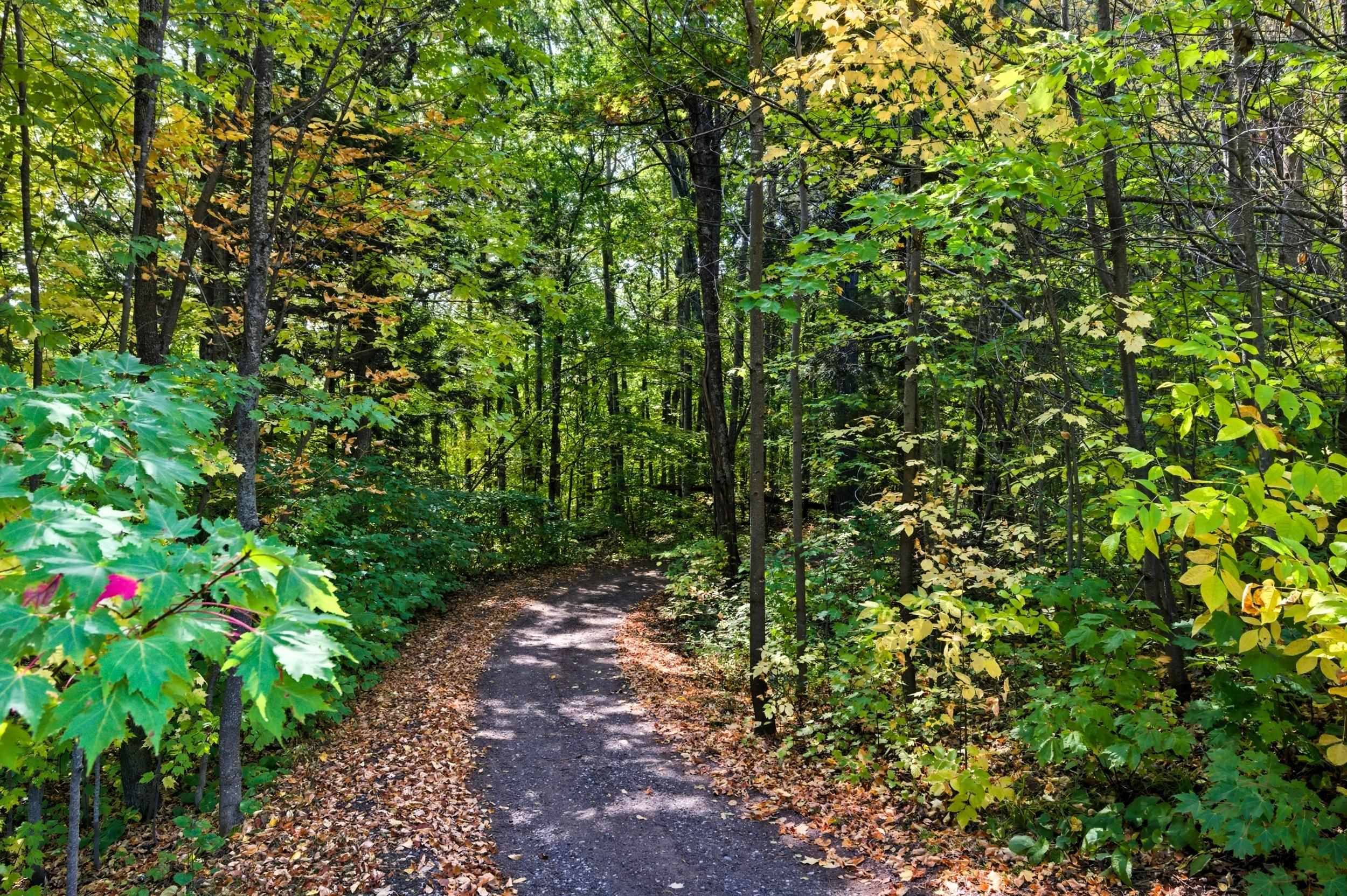 85XXX Apple Hill Rd