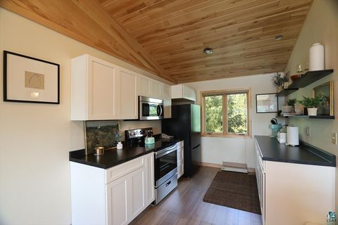 Tiny photo for 4361 Isle of Pines, Tower, MN 55790 (MLS # 6126446)