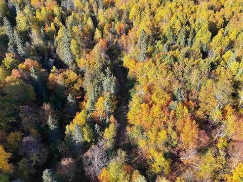 Tiny photo for 7031 Highway 61, Silver Bay, MN 55614 (MLS # 6128363)