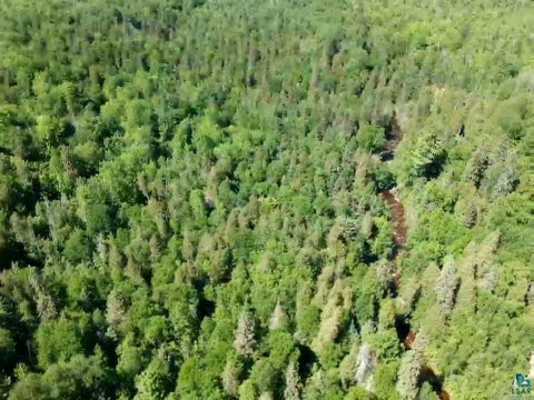 Tiny photo for 7031 Highway 61, Silver Bay, MN 55614 (MLS # 6128363)