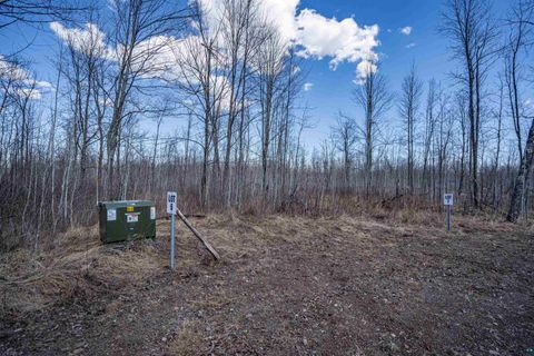 Tiny photo for 60 Rycor Lane, Duluth, MN 55811 (MLS # 6124759)