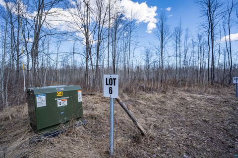 Tiny photo for 60 Rycor Lane, Duluth, MN 55811 (MLS # 6124759)