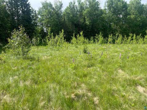 Tiny photo for 57 Howard Gnesen Rd, Rice Lake, MN 55803 (MLS # 6126371)
