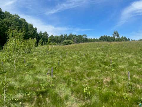 Tiny photo for 57 Howard Gnesen Rd, Rice Lake, MN 55803 (MLS # 6126371)