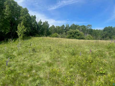 Tiny photo for 57 Howard Gnesen Rd, Rice Lake, MN 55803 (MLS # 6126371)