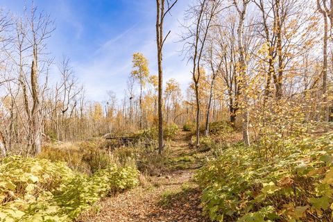 Tiny photo for xxx Amity Drive, Duluth, MN 55803 (MLS # 6123650)